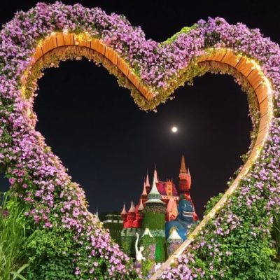 Self-Affirmation from Chapter XXIV of SSSC for Sai Baba&nbsp;devotees