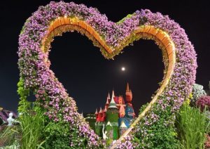 Self-Affirmation from Chapter XXIV of SSSC for Sai Baba&nbsp;devotees