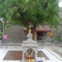 Self-Affirmation from Chapter V of SSSC for Sai Baba&nbsp;devotees