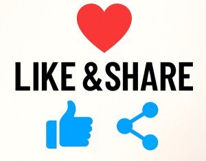 ✨Gift for Our Every&nbsp;Subscribers